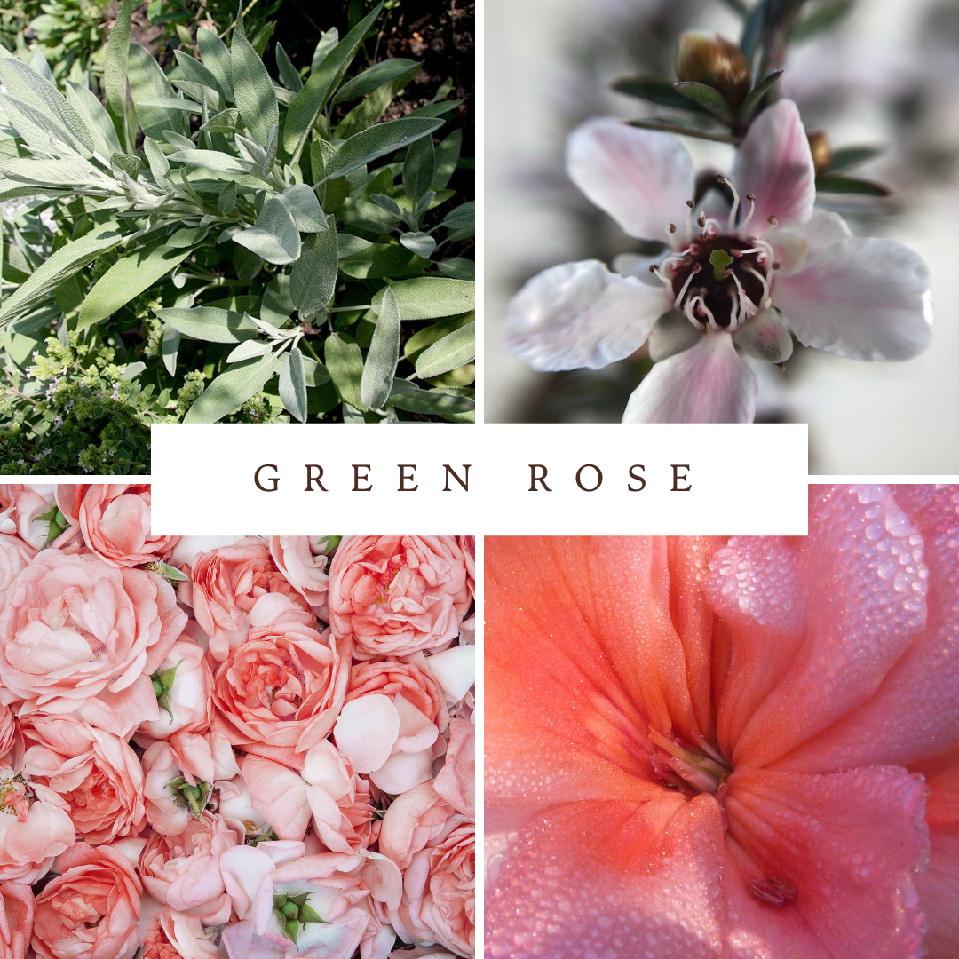 Green Rose Hand & Body Balm 60g