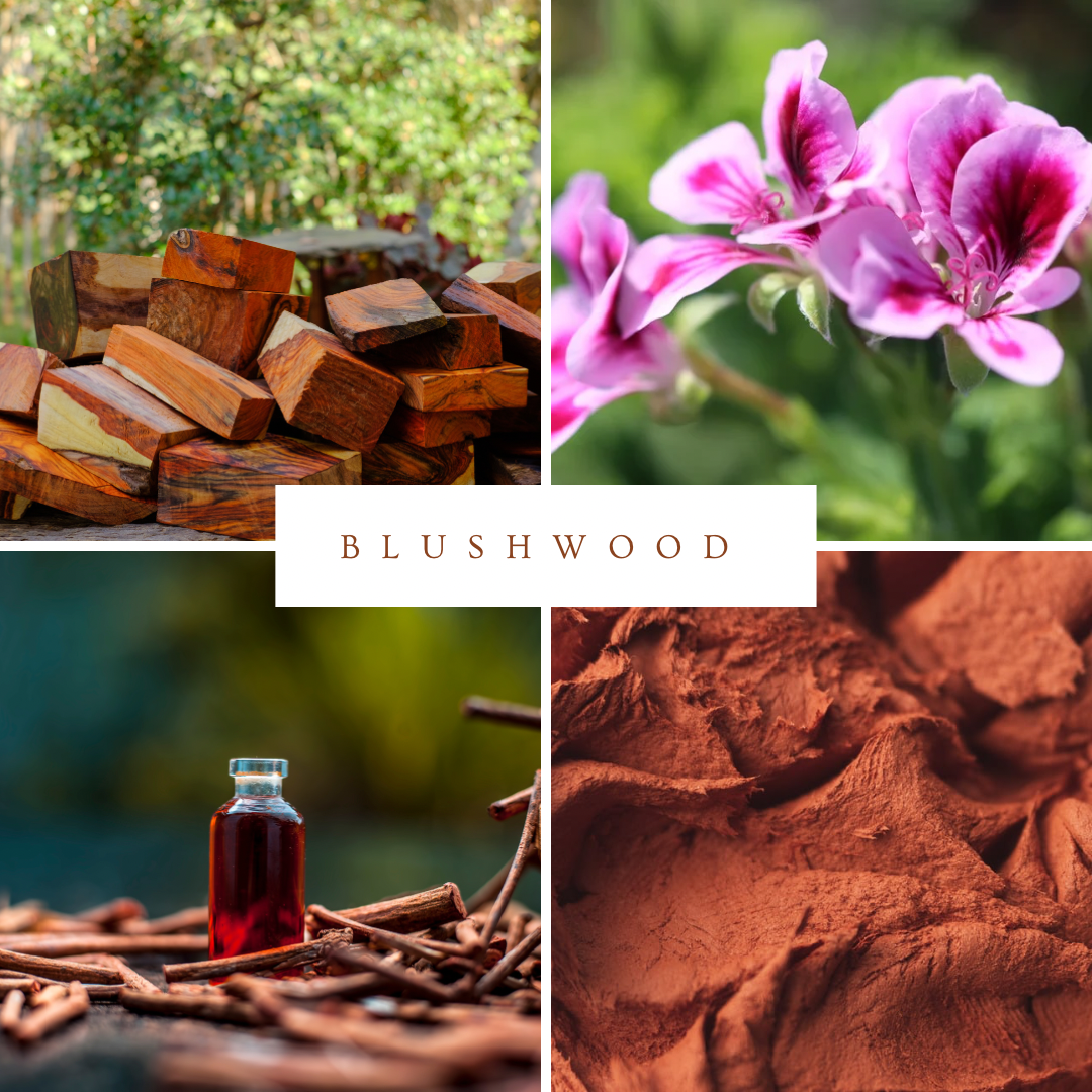 Medika Organics Natural Australian Organic Soap Blushwood Soap Ingredients