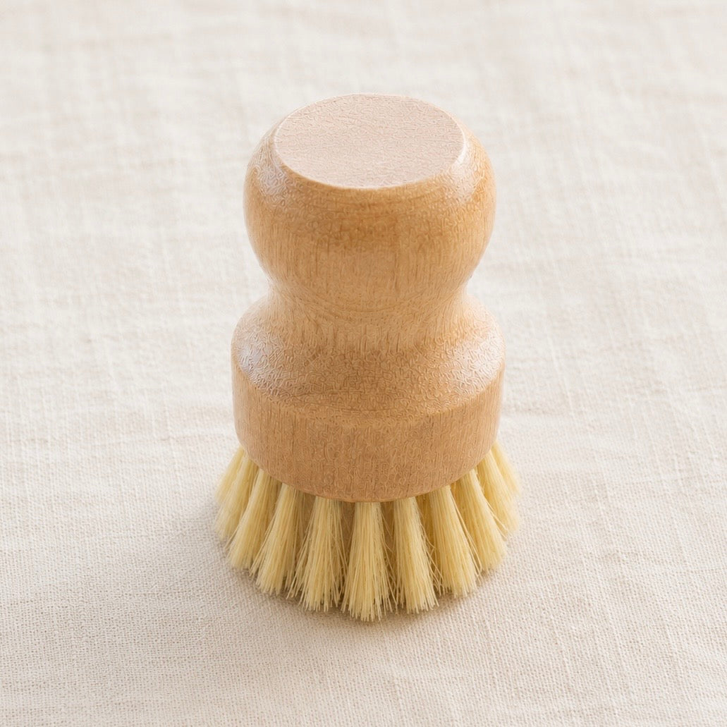 Solid Dish Soap & Brush