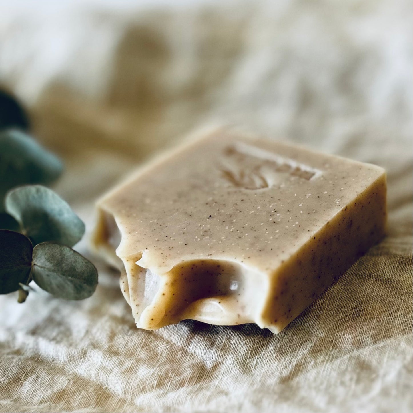 Fresh Canopy | Natural Soap | Coconut Milk & Alkanet Root