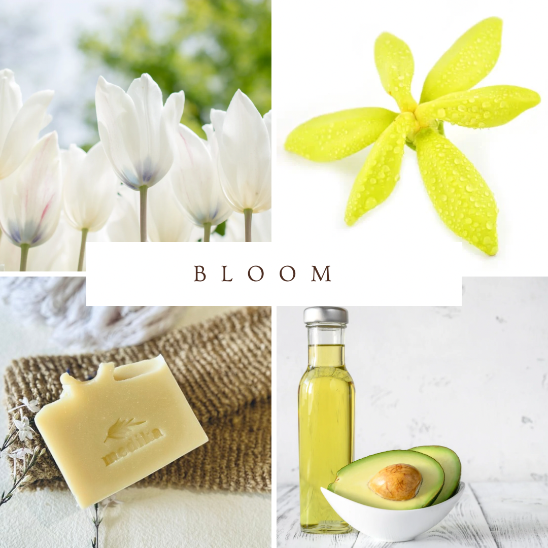 Bloom Soap